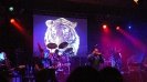 Live-Video